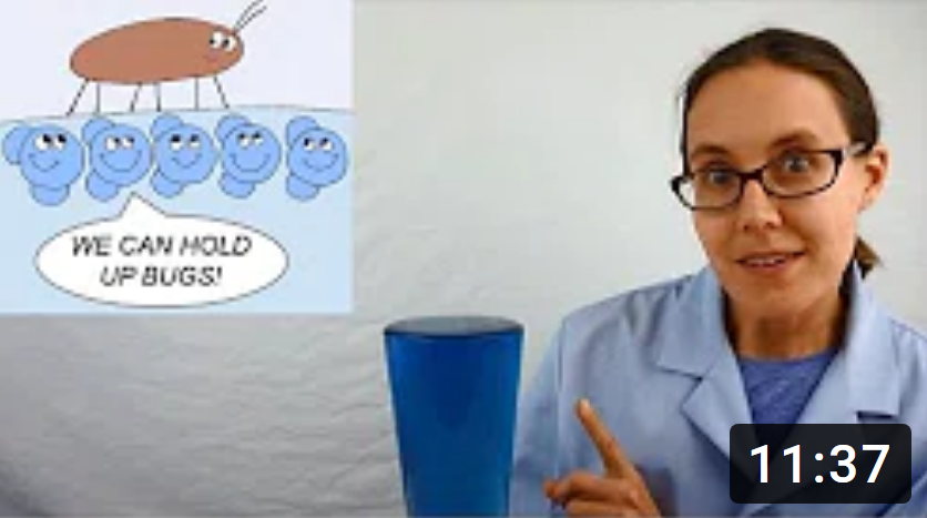 Water Surface Tension By Science Mom Steamfest