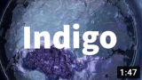 indigo_screen