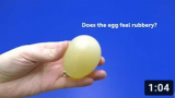 rubber_egg_screen